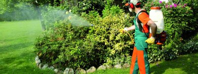Bahçe İlaçlama